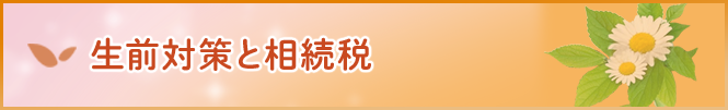 生前対策と相続税